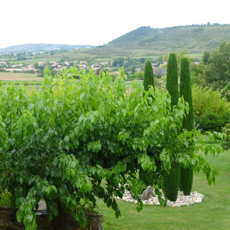 Hotel Domaine De La Manse Villeneuve-de-Berg Zewnętrze zdjęcie
