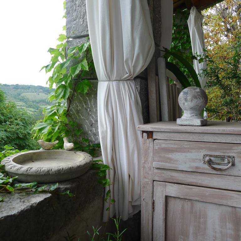 Hotel Domaine De La Manse Villeneuve-de-Berg Zewnętrze zdjęcie