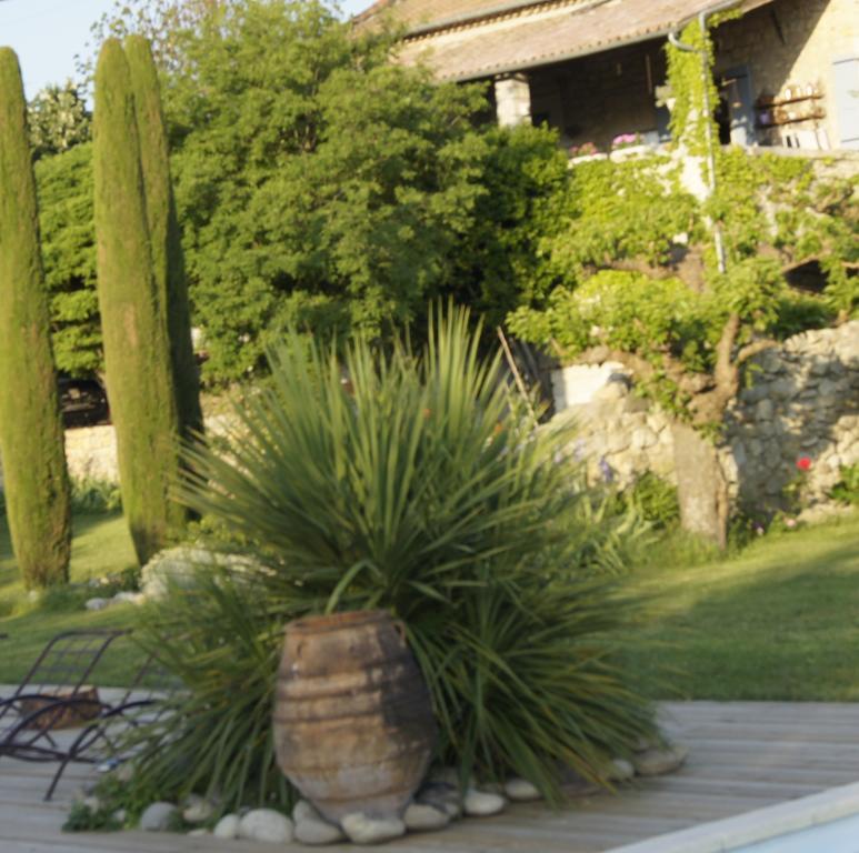 Hotel Domaine De La Manse Villeneuve-de-Berg Zewnętrze zdjęcie